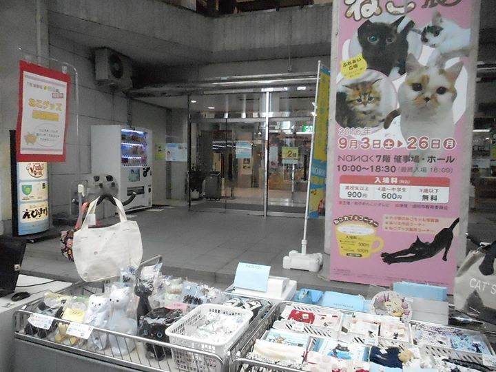 ななっくさんから ふれあいねこ展 ご案内です 八幡宮に来たついでにぜひ 肴町へお立ち寄りください 盛岡市肴町商店街振興組合
